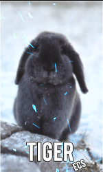 Avatar utilizator
