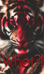 Avatar utilizator
